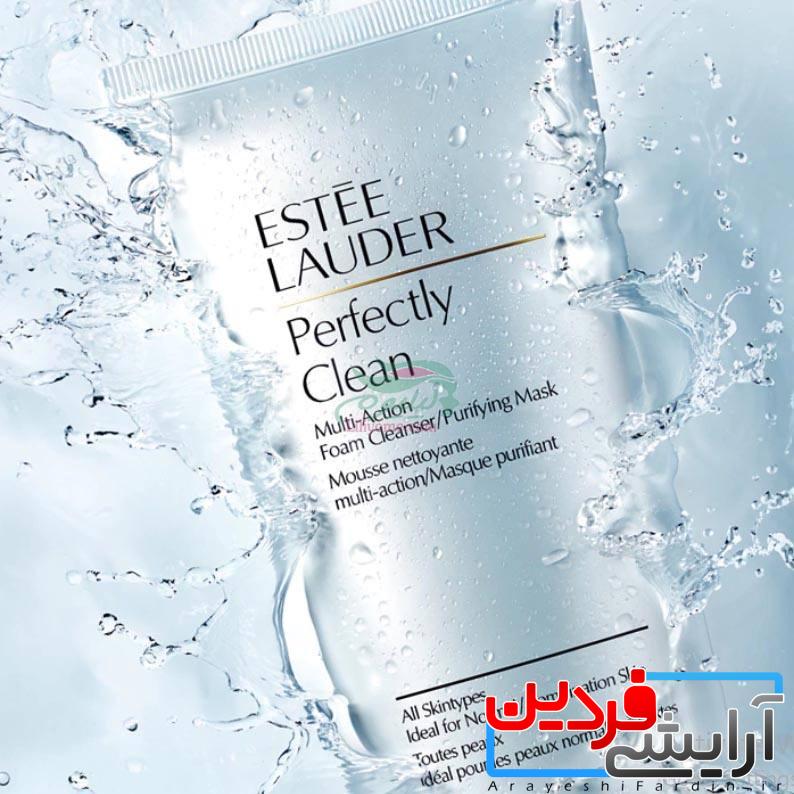 c4257ee2-b50f-4884-8452-61a22b3ed98a کلینزر تصفیه کننده چند کاره پرفکتلی کلین استی لادر - Image 1