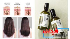 شامپو ضد ریزش مو با عصاره رزماری بیوآکوآ (BIOAOUA) - Image 2