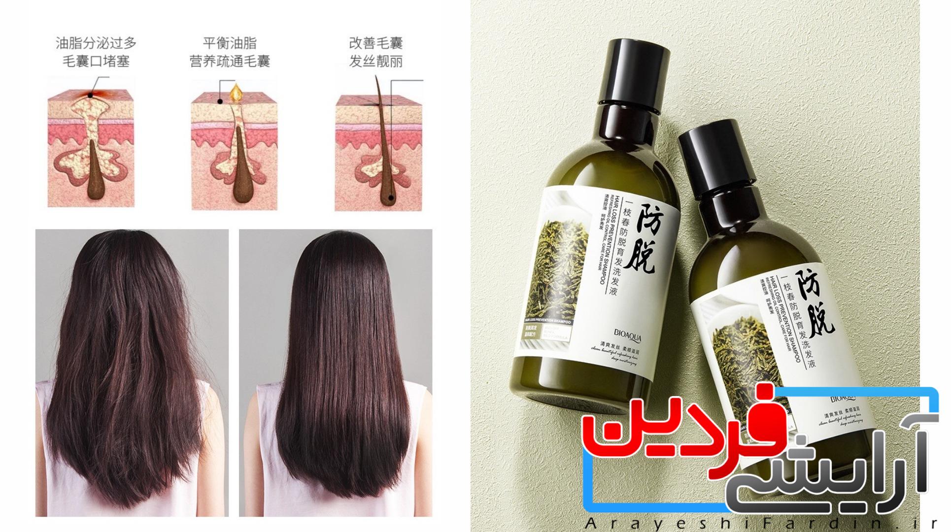 PicsArt_06-06-11.22.25 شامپو ضد ریزش مو با عصاره رزماری بیوآکوآ (BIOAOUA) - Image 2
