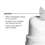 بالم لب آبرسان Squalane + Amino Acids برند اوردینری (The Ordinary) - Image 4